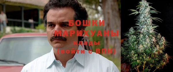 шишки Балахна