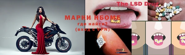 шишки Балахна