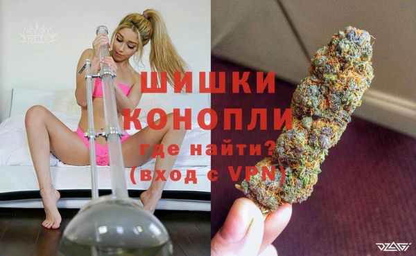 шишки Балахна